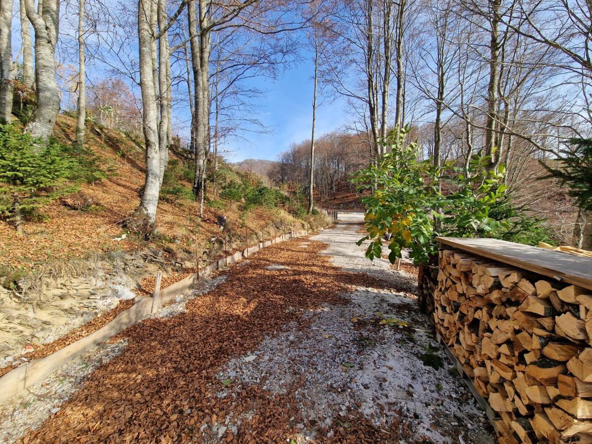 Weekend House Nest Bjelasnica Exterior photo